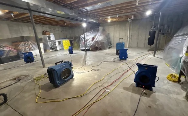 Basement Water Extraction in Sealy, TX