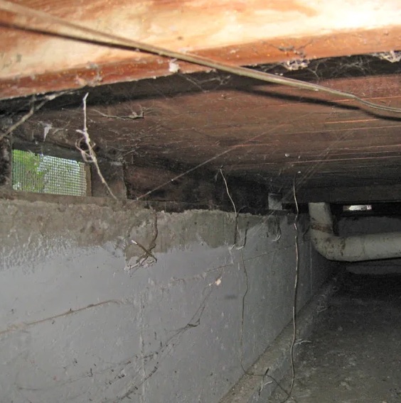 Crawl Space Water Extraction in Sweeny, TX