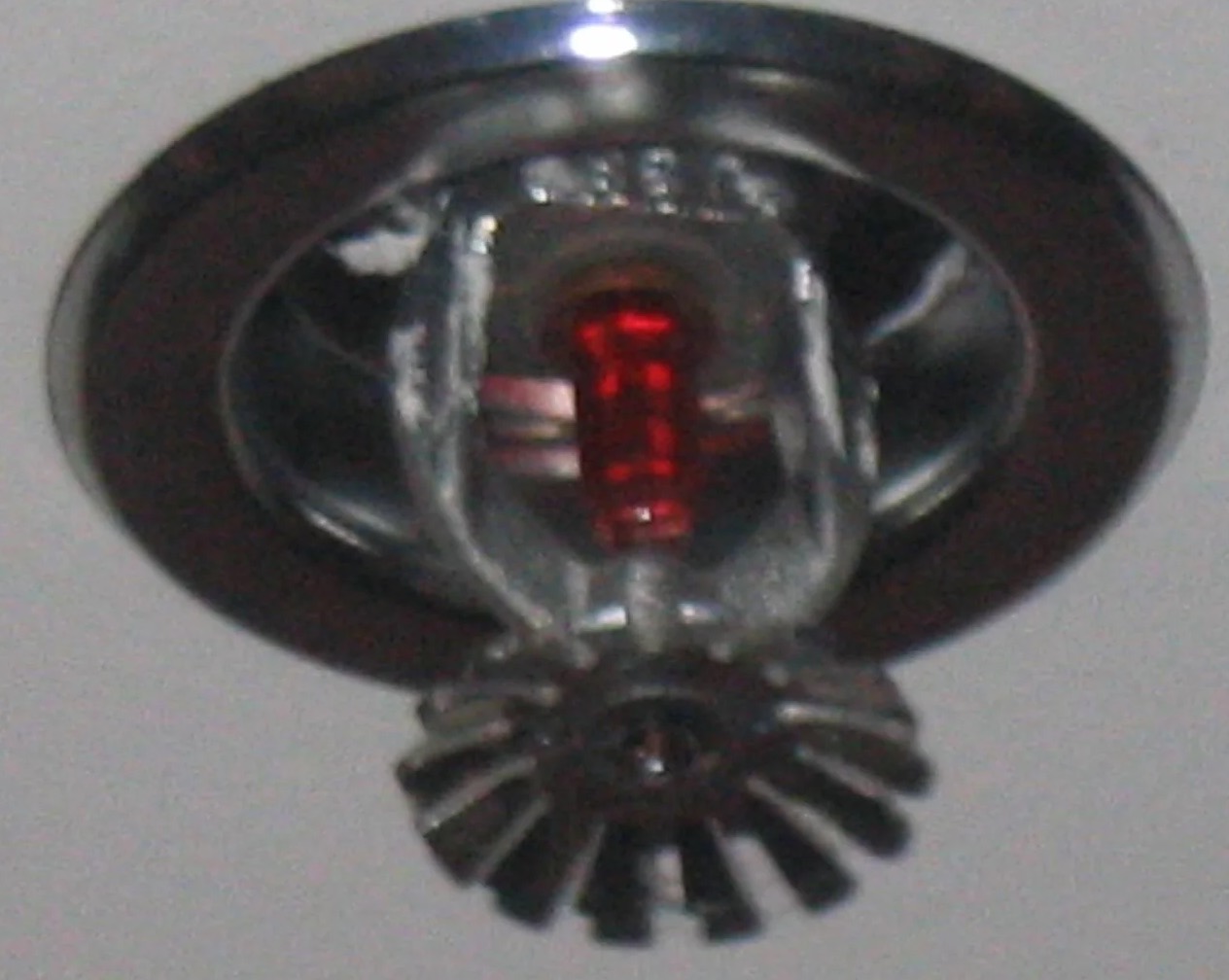 Sprinkler System Water Removal in Sweeny, TX