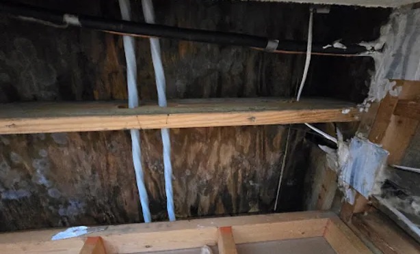 Attic Water Extraction in Humble, TX