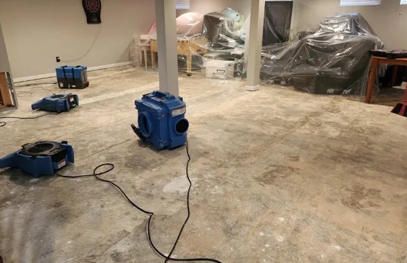 Dehumidification Services in Sugar Land, TX