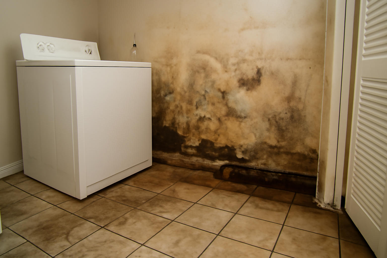 Laundry Room Water Removal in Porter, TX